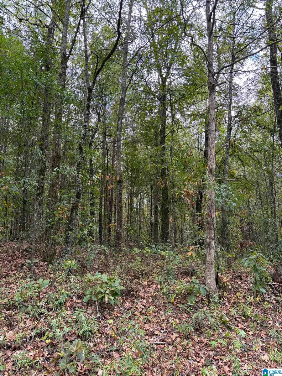 000 OAKLAND AVENUE, Wilsonville, AL 35186 - Image #3