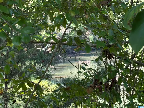 HIGHWAY 23, Ashville, AL 35953