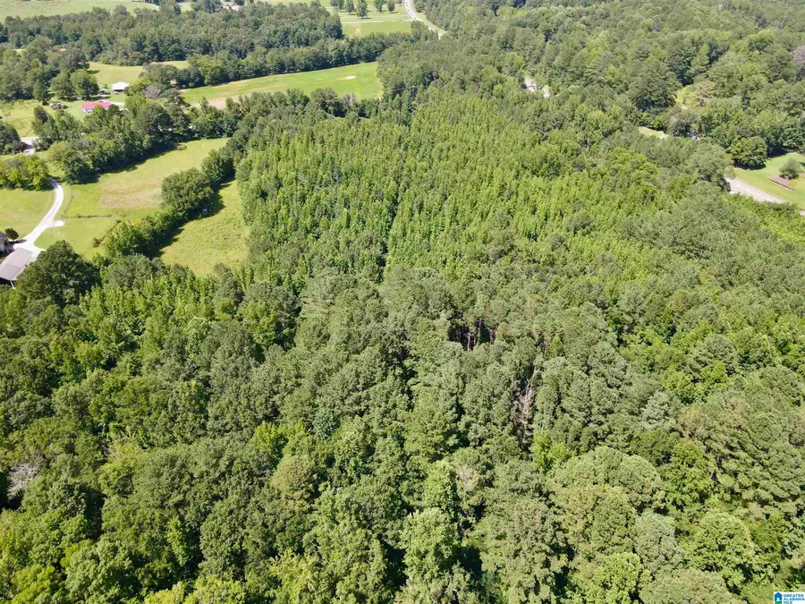 0 OAKDALE LANE, Sycamore Winterboro, AL 35150 - Image #2