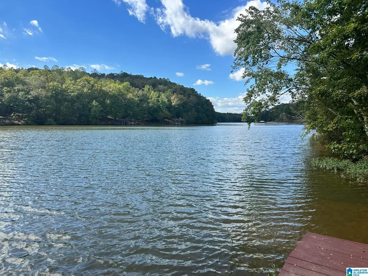 Lot 41 COUNTY ROAD 264, Wedowee, AL 36278 - Image #1