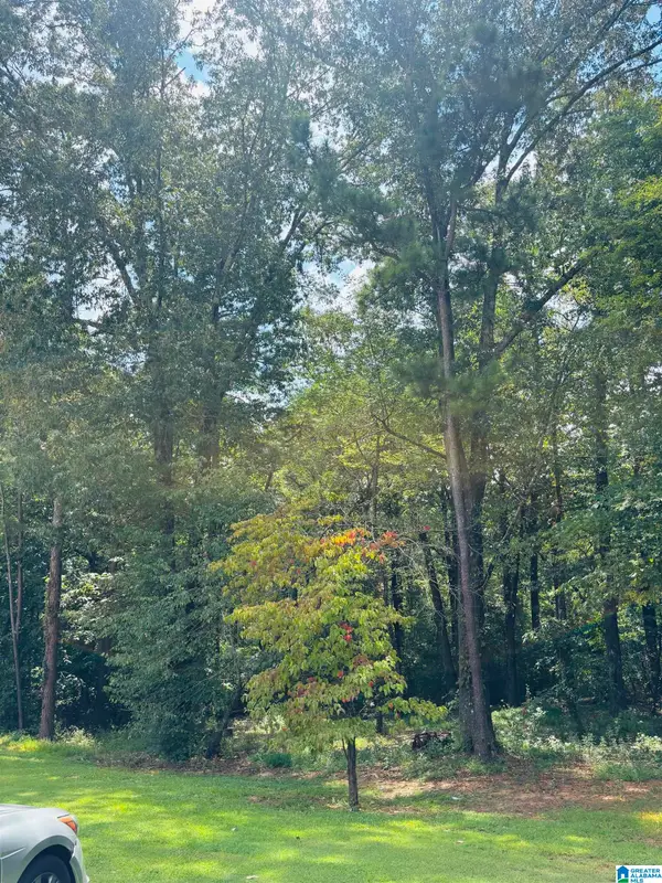 6215 MOUNTAIN RIDGE ROAD, Trussville, AL 35173