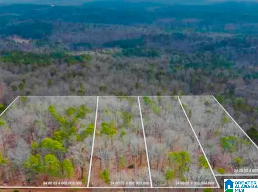 6215 MOUNTAIN RIDGE ROAD, Trussville, AL 35173 - Image #3