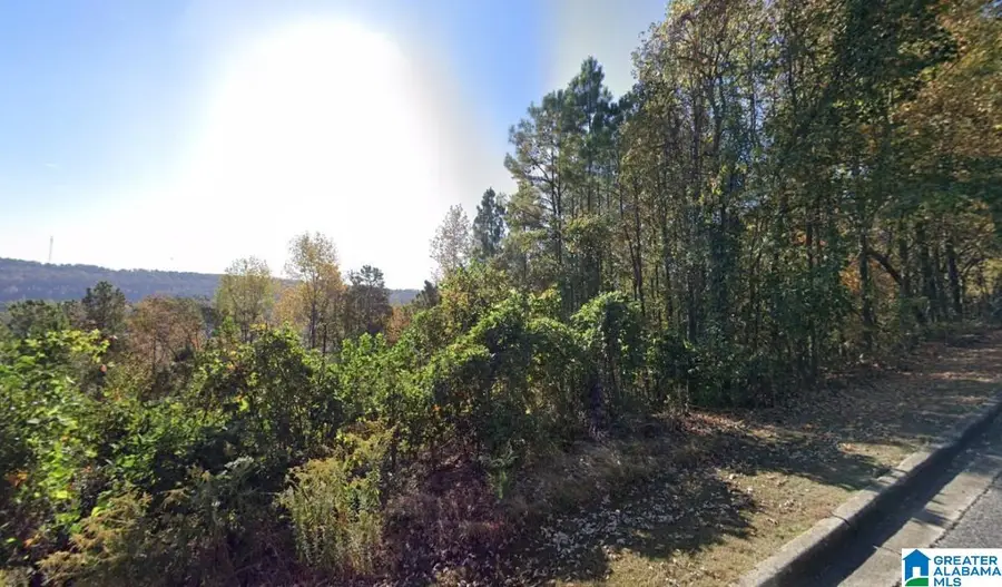 4449 EAGLE POINT DRIVE, Birmingham, AL 35242 - Image #3