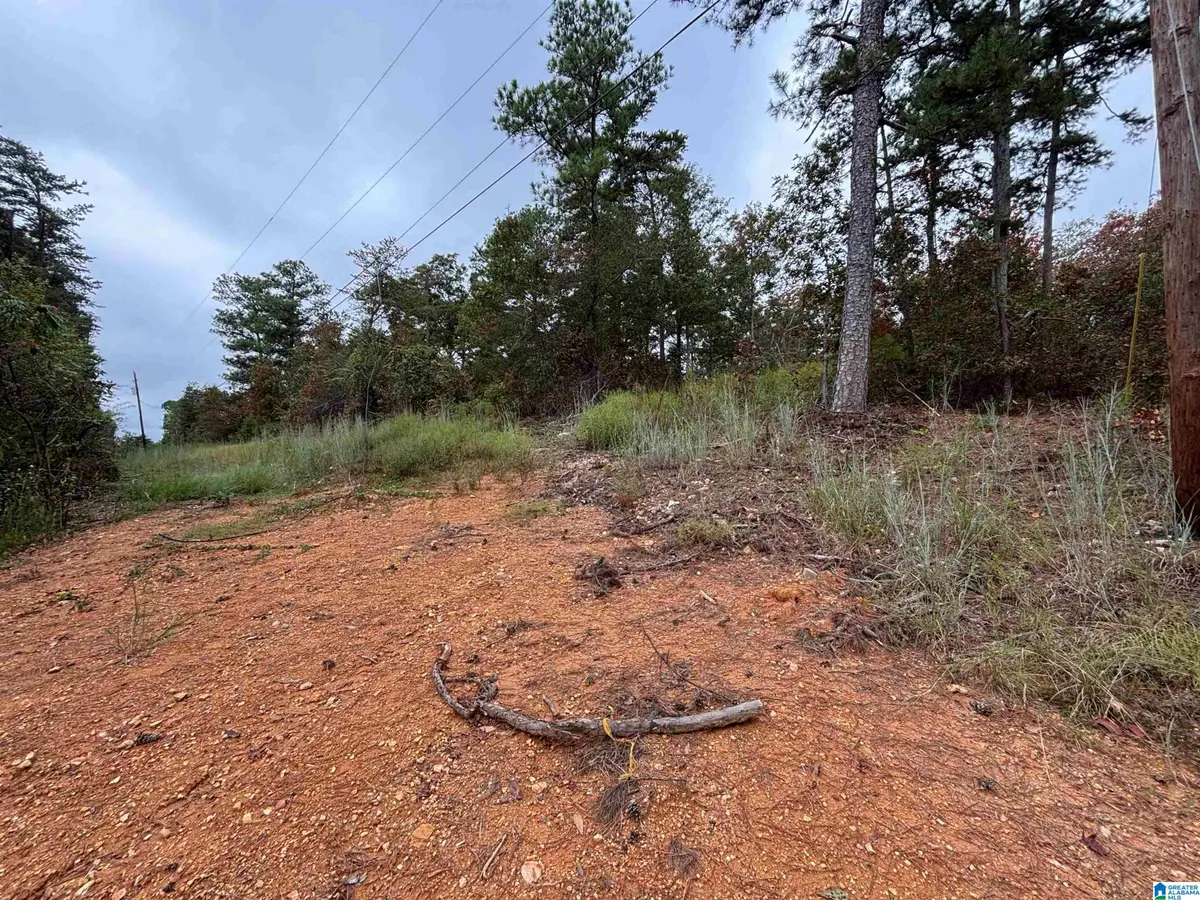 HEARTHSTONE DRIVE, Odenville, AL 35120 - Image #1