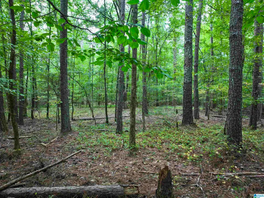8066 GLENDALE FARMS ROAD, Trussville, AL 35173 - #3
