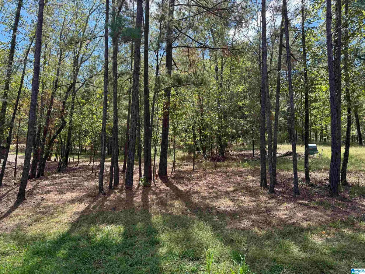 Lot 3B CABIN ROAD, Bessemer, AL 35022 - #1
