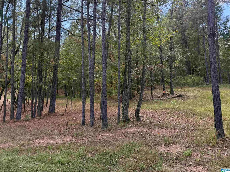 Lot 3B CABIN ROAD, Bessemer, AL 35022 - #2