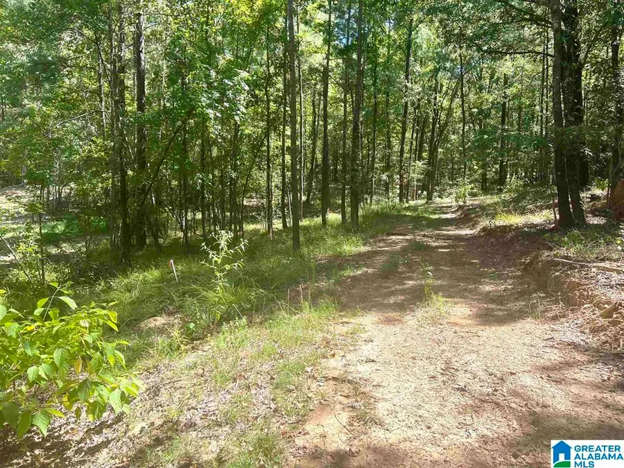 Lot 3B CABIN ROAD, Bessemer, AL 35022 - #3