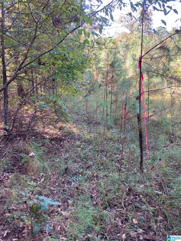 39 SPOTTED HORSE TRAIL, Talladega, AL 35160