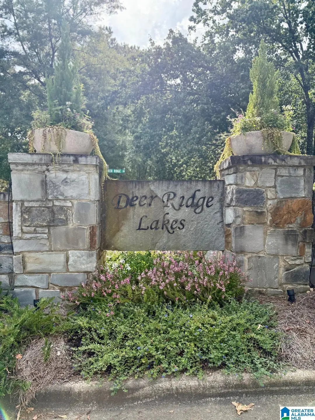 325 DEER RIDGE LANE, Chelsea, AL 35043 - #1