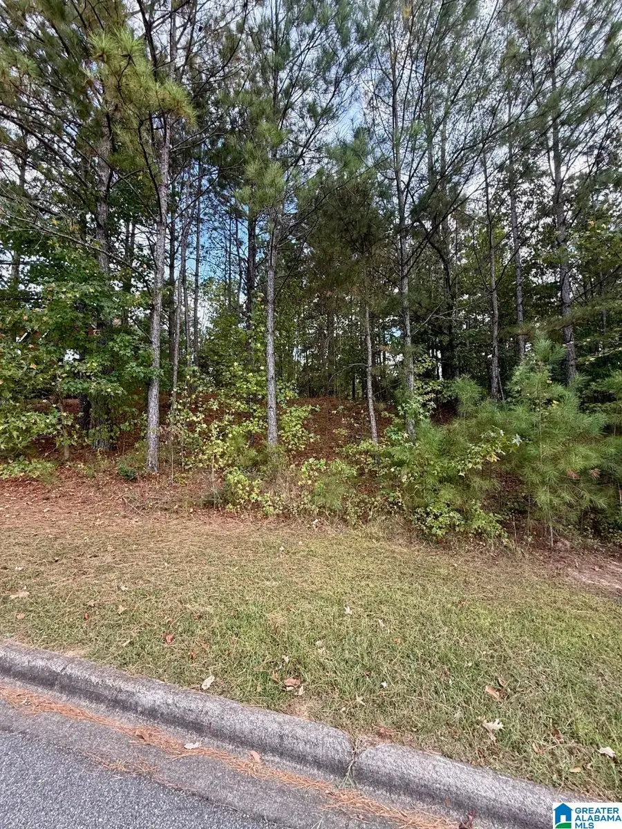 325 DEER RIDGE LANE, Chelsea, AL 35043 - #2