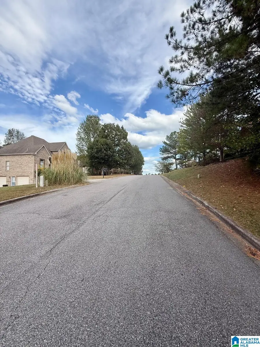 325 DEER RIDGE LANE, Chelsea, AL 35043 - #3