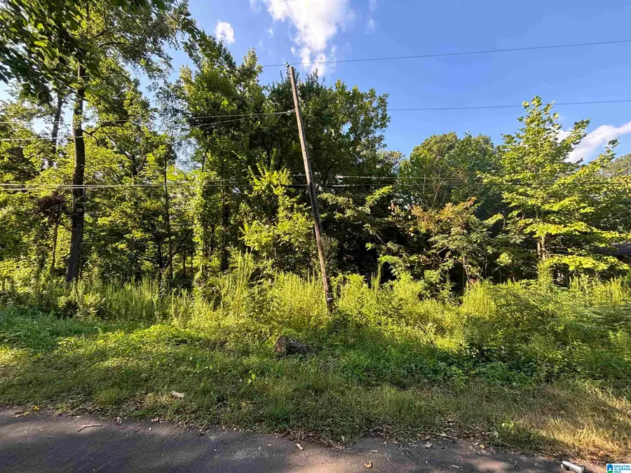 926 NAVARRO LANE, Irondale, AL 35235 - #3