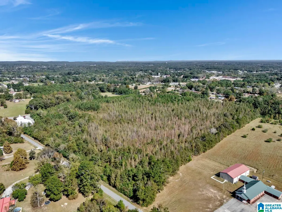 0 HOPEWELL DRIVE, Clanton, AL 35045 - Image #1