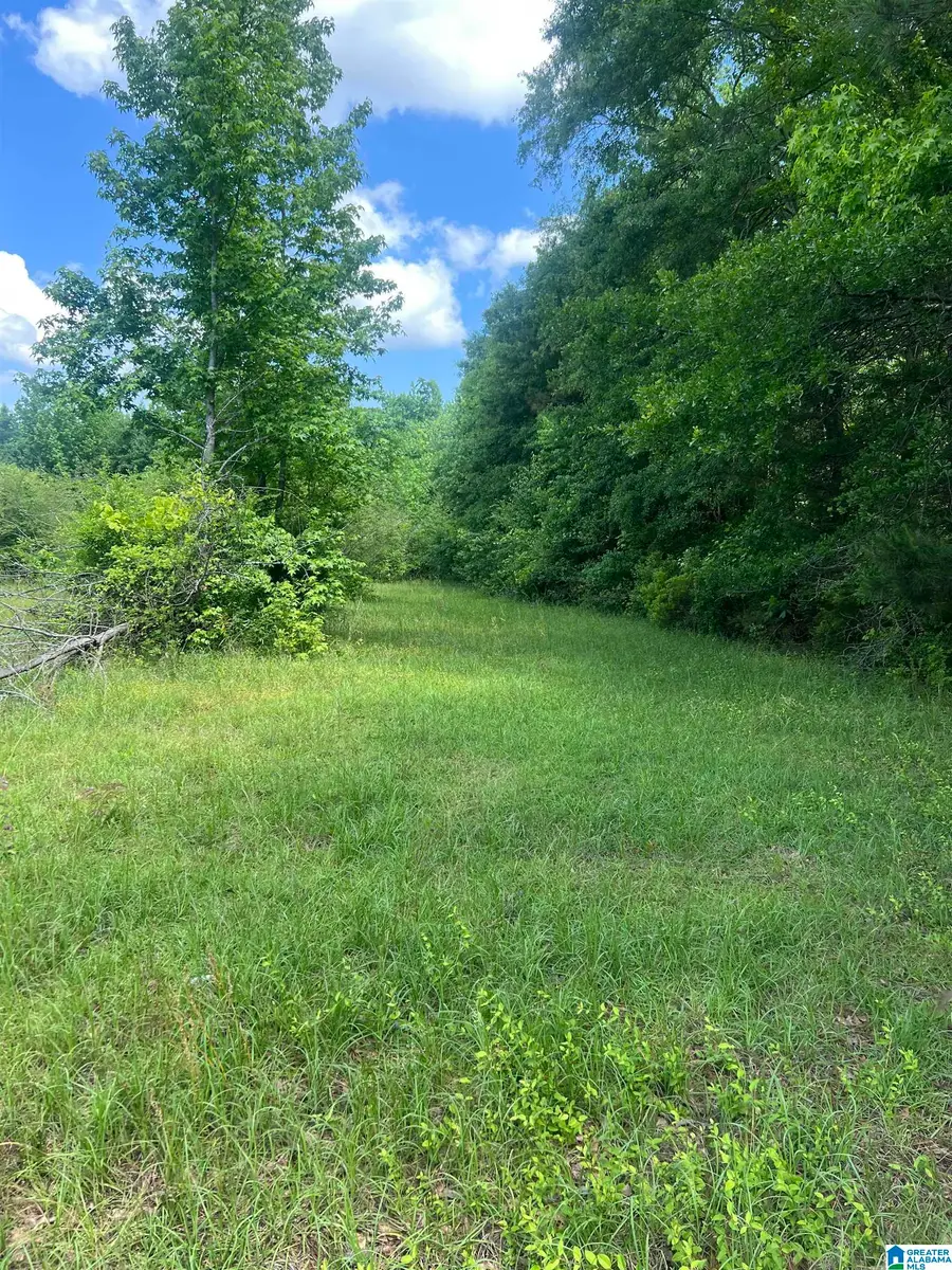 0 HOPEWELL DRIVE, Clanton, AL 35045 - Image #2