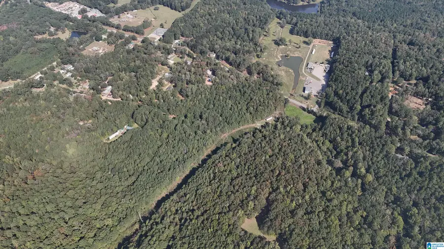 0 BOOLER ROAD, Vance, AL 35490 - Image #2