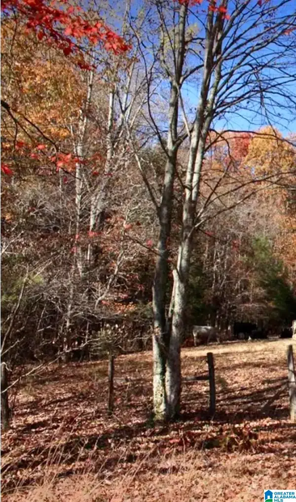 7274 TAYLORS FERRY ROAD, Oak grove, AL 35023
