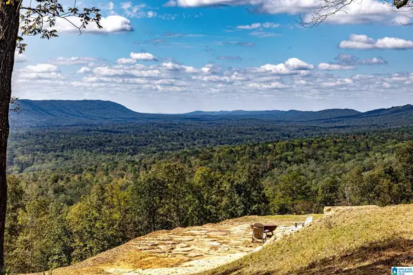 HILL TOP LANE, Leeds, AL 35094