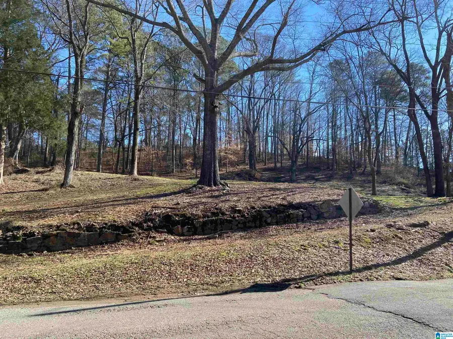 0 ROBINSON STREET, Springville, AL 35146 - Image #2