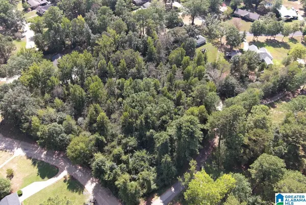 lot 25 LAKE TERRACE ROAD, Sylacauga, AL 35150