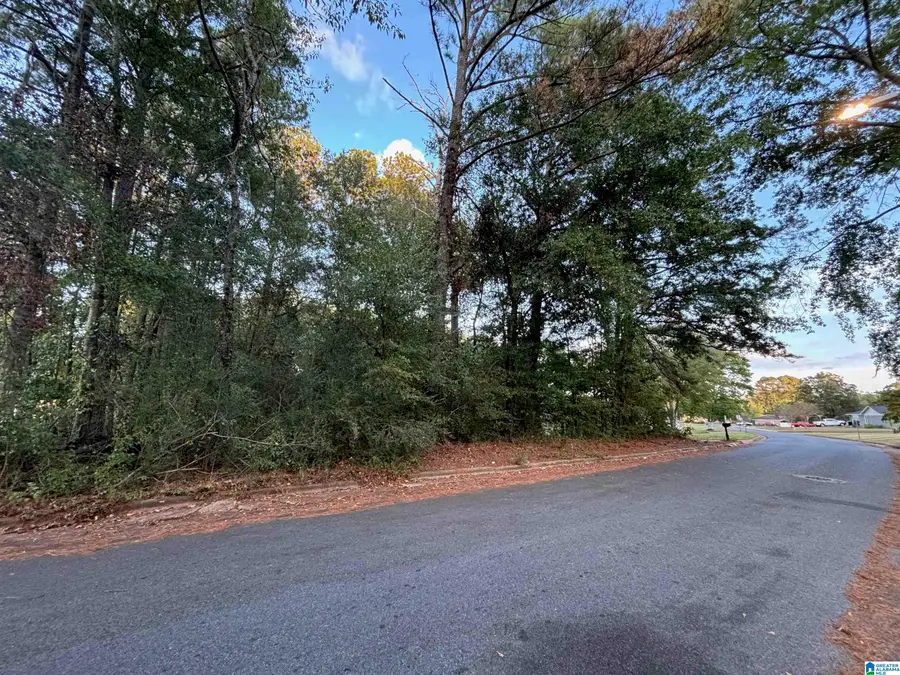 0 SEDGEFIELD DRIVE, Sylacauga, AL 35150 - Image #2