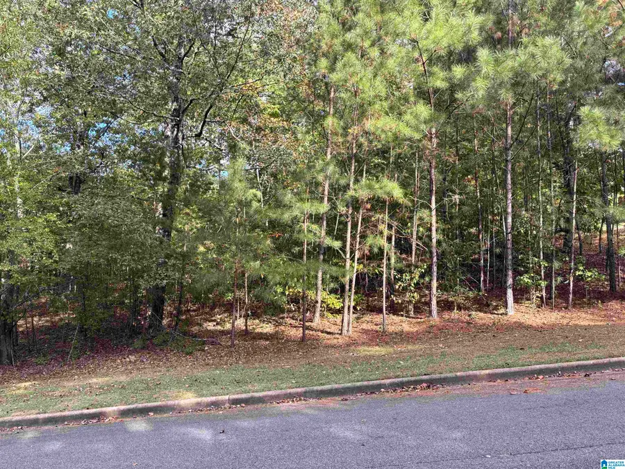 Lot 9 WHITE OAK CIRCLE, Dora, AL 35062 - Image #3