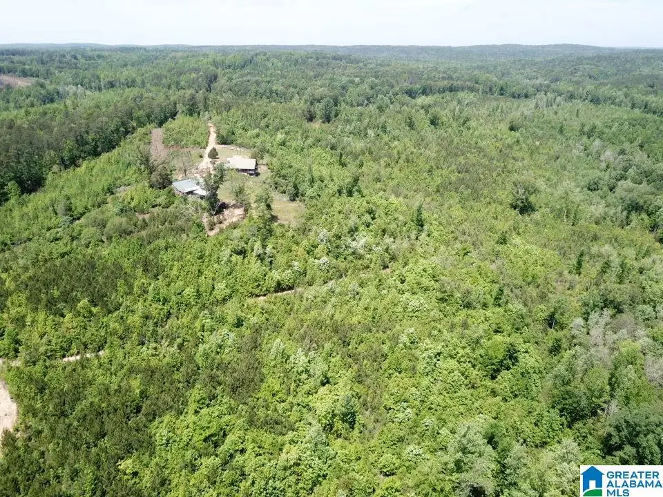 445 BLALOCK LANE, Lawley, AL 36793 - Image #1