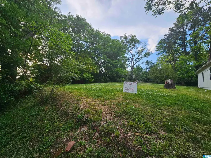 1121 2ND STREET, Birmingham, AL 35214 - Image #2