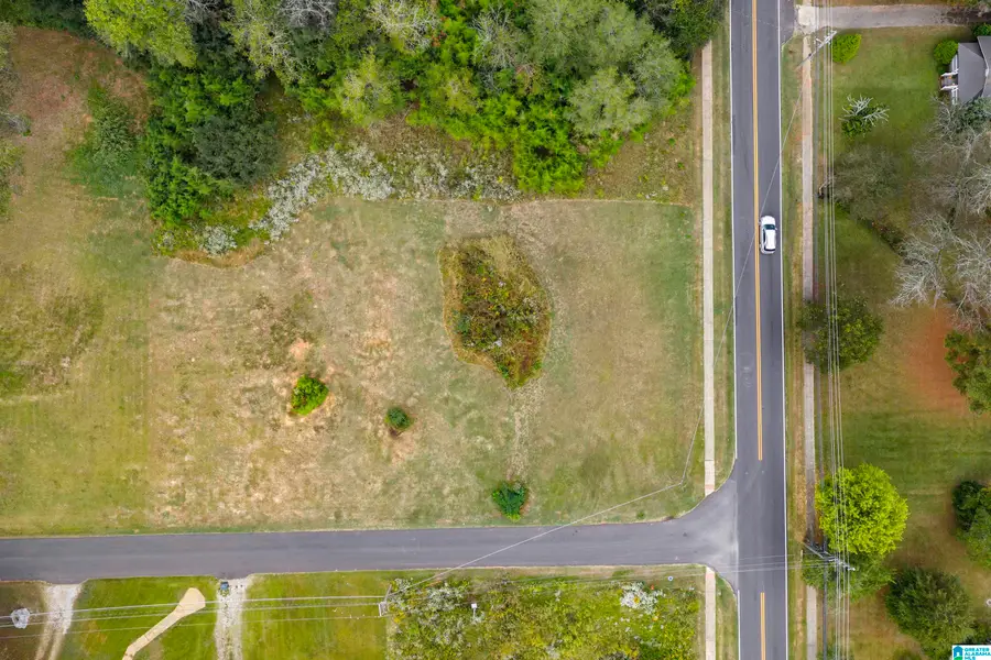 0 W 4TH AVENUE, Lincoln, AL 35096 - Image #2