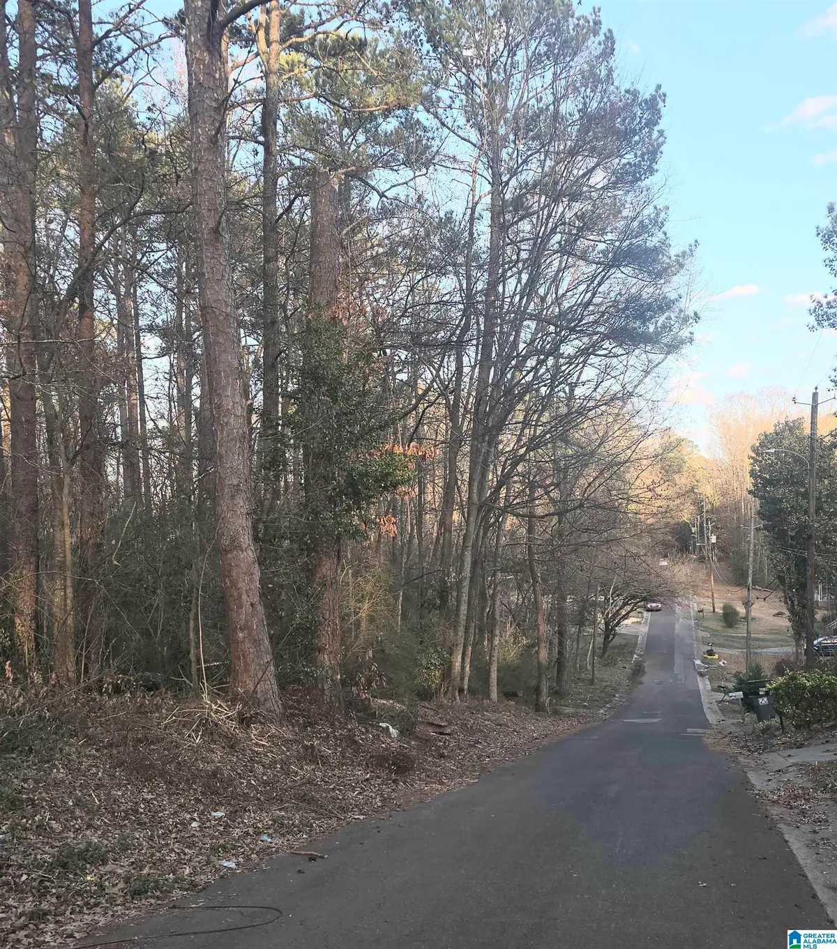 107 CHAPEL DRIVE, Bessemer, AL 35023 - #1