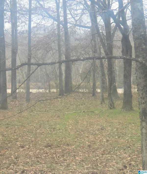 CYPRESS POINT DRIVE, Akron, AL 36776