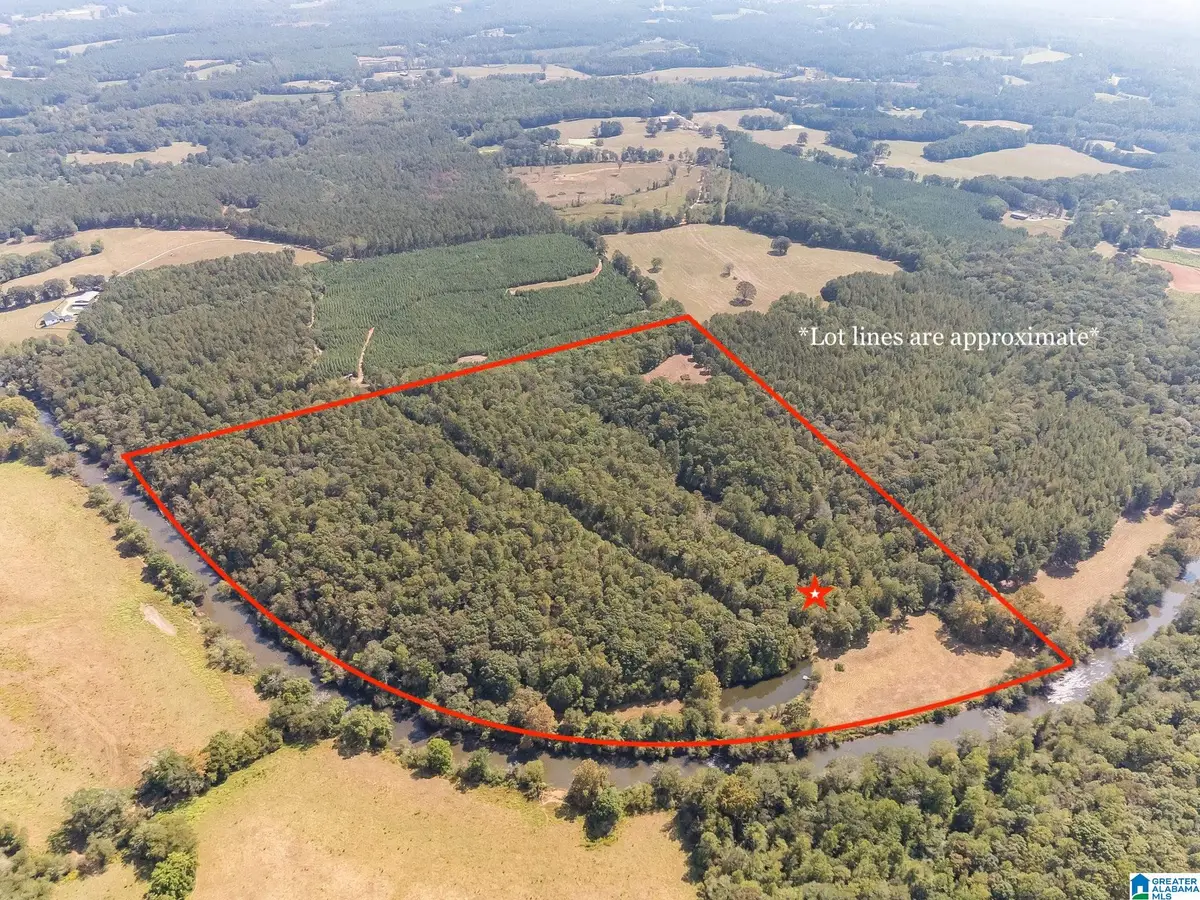 491 COUNTY ROAD 511, Woodland, AL 36280 - Image #1