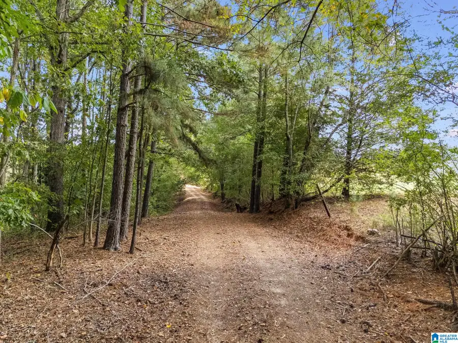 491 COUNTY ROAD 511, Woodland, AL 36280 - Image #3