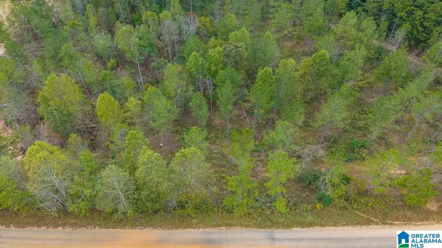 0 COUNTY ROAD 689, Ranburne, AL 36273 - Image #2