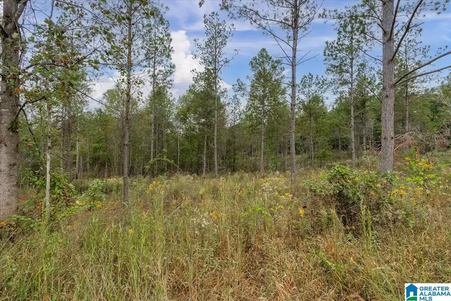 0 COUNTY ROAD 689, Ranburne, AL 36273 - Image #3