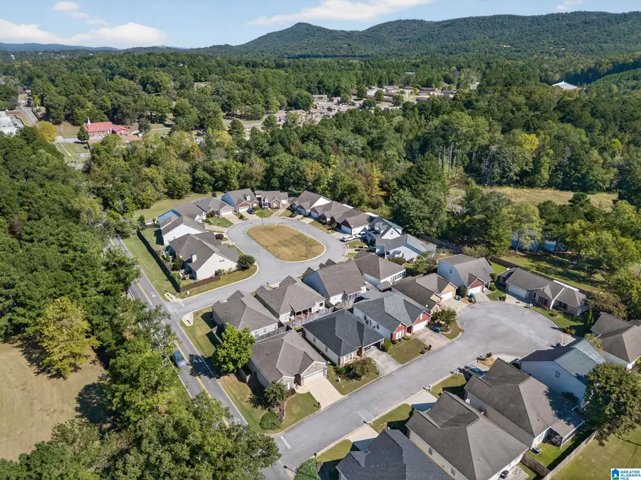 200 CHURCH HILL PLACE SE, Jacksonville, AL 36265 - Image #3