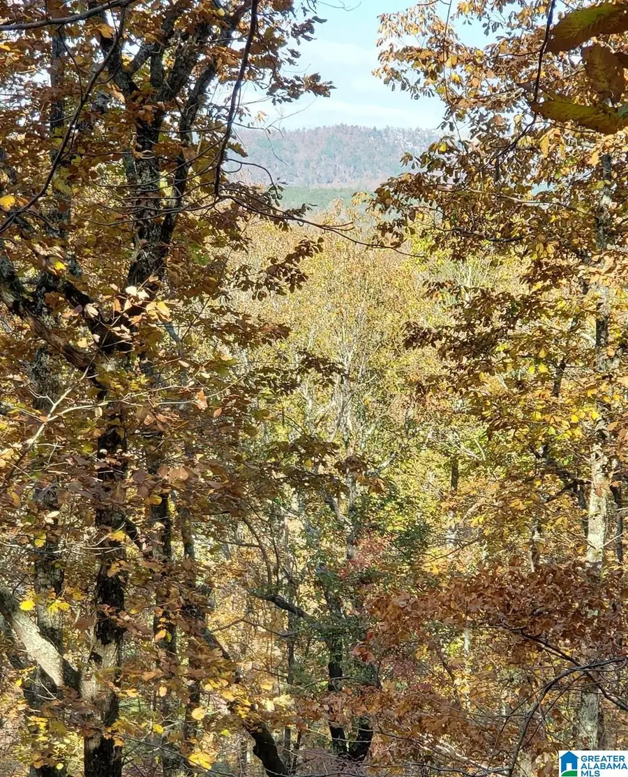 438 STONEGATE DRIVE, Birmingham, AL 35242 - Image #3