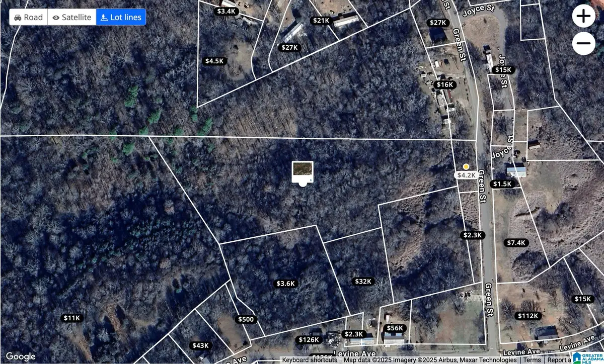 4223 LEVINE AVENUE, Graysville, AL 35073 - Image #1