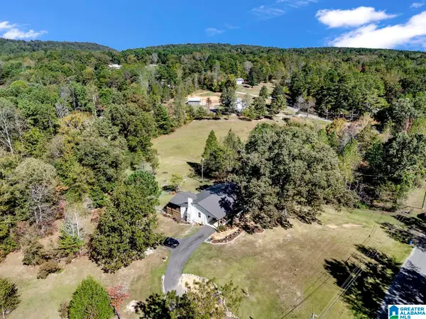 535 RIDGE TRAIL, Warrior, AL 35180