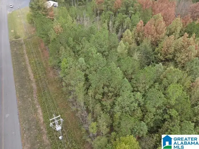 CONCORD CHURCH ROAD, Talladega, AL 35160 - Image #1