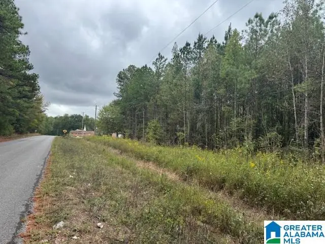 CONCORD CHURCH ROAD, Talladega, AL 35160 - Image #3