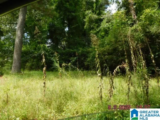 4908 BRANCHVILLE ROAD, Trussville, AL 35173 - Image #2