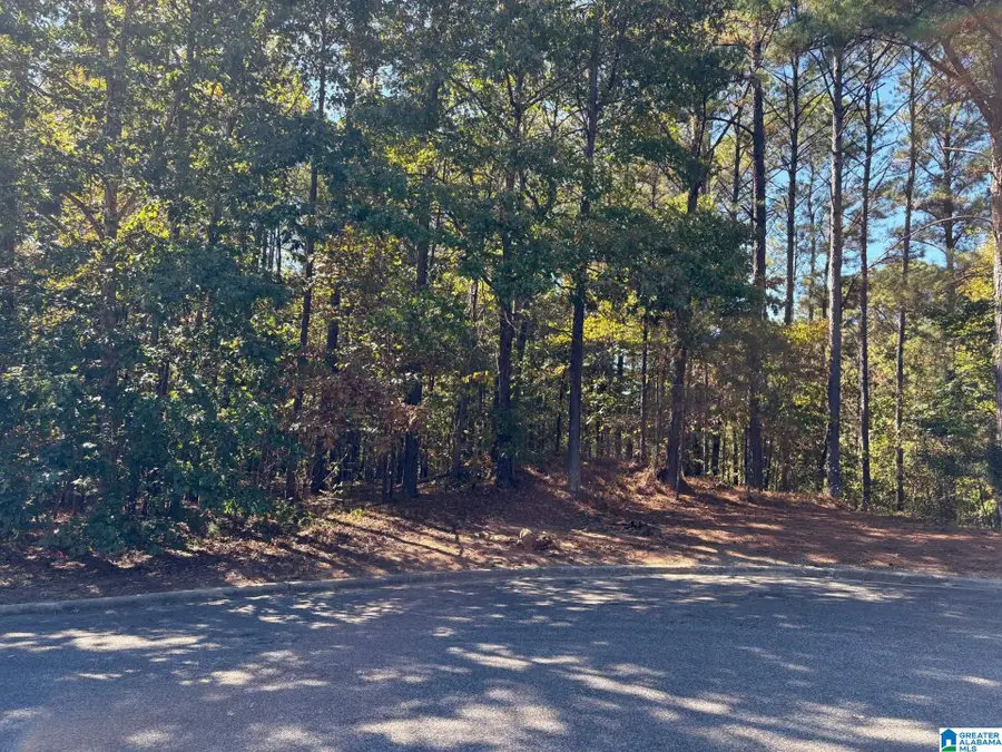 339 ALTA VISTA DRIVE, Chelsea, AL 35043 - Image #2