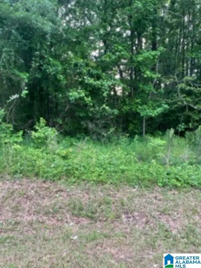 2006 PEEK DRIVE, Oxford, AL 36203 - Image #3