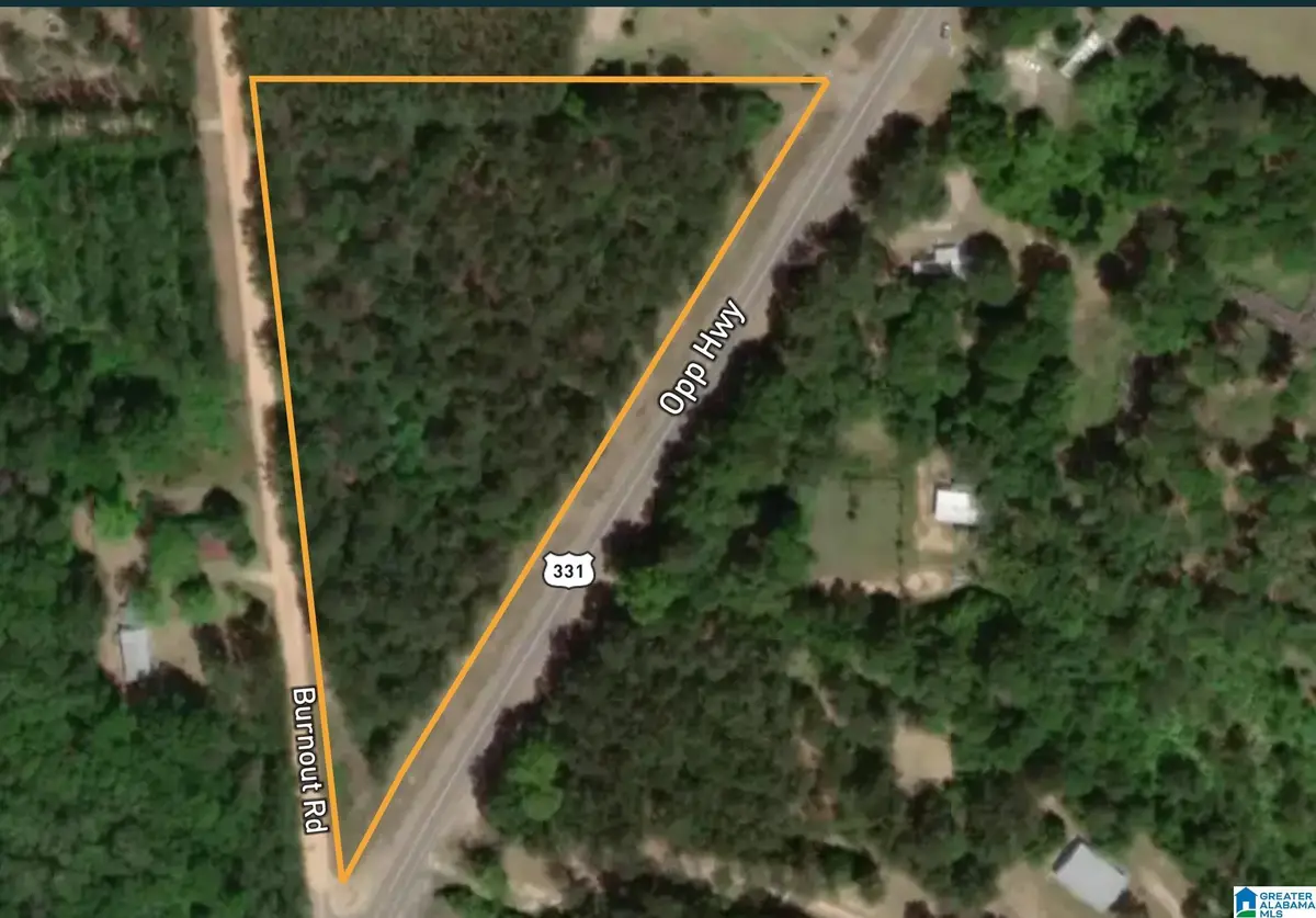 0 OPP HIGHWAY, Dozier, AL 36028 - Image #1