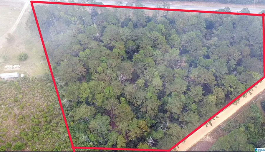 0 OPP HIGHWAY, Dozier, AL 36028 - Image #2