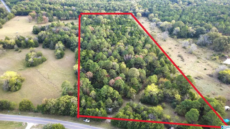 0 SHAW ROAD, Uniontown, AL 36786 - Image #2