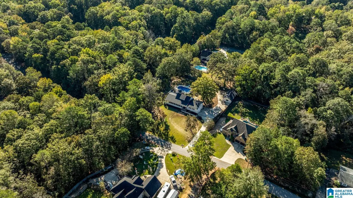 21295 LESLIE DRIVE, Lake View, AL 35111 - Image #1