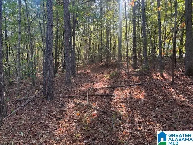 DOGWOOD RIDGE, Wedowee, AL 36278 - Image #3