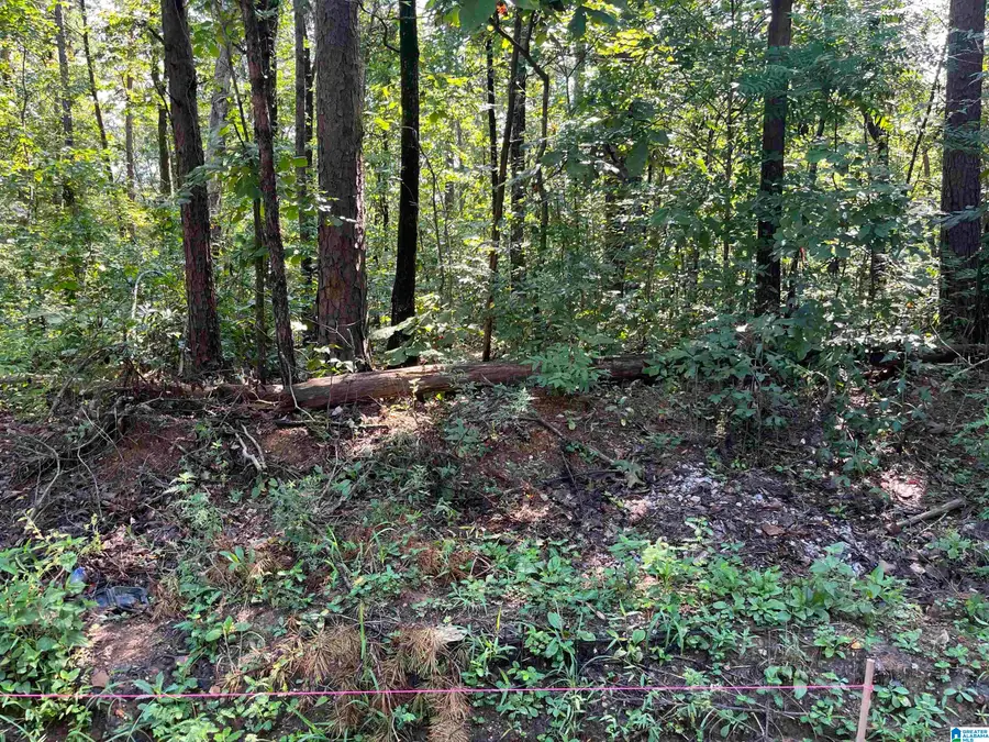 12444 JERRY DRIVE, McCalla, AL 35111 - Image #2